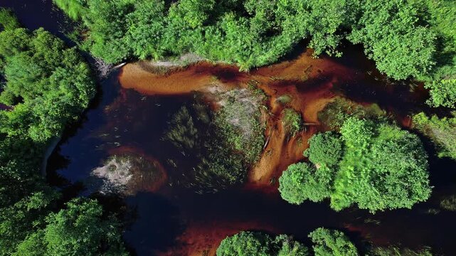Brown curvy river calm brook or creek with tannin water weeds and greenery surroundings, aerial top down view. Algonquin near area, Ontario, Canada, North America. Natural phenomenon.