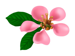 Fototapeta premium Botanical pink flower illustration for decorative and surface design use