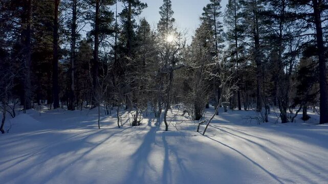 Aerial drone flying over snowy Norwegian mountain forest landscape in winter sunnlight.