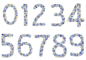 青い押し花の数字0-9セット イニシャルフラワー 花文字 ボタニカル素材集