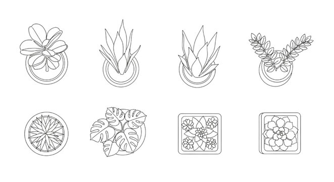 Vector Top View Potted Plant Line Art Set Featuring Monstera and Succulents