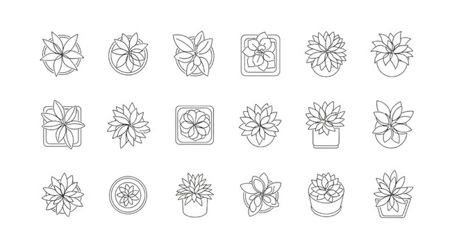 Vector Set of Minimalist Top View Potted Plant Outlines for Architectural Floor Plans