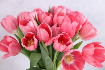 Fototapeta premium Bouquet of pink tulips on blurred grey background, closeup