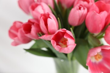Obraz premium Bouquet of pink tulips on blurred grey background, closeup