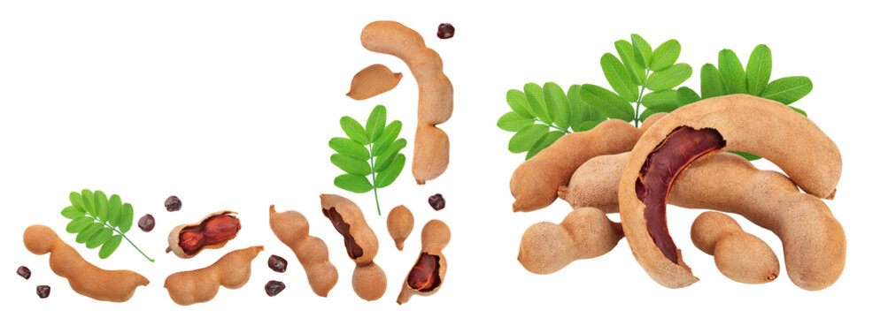 Tamarind fruit with leaf and seed isolated on white background with copy space for your text. Top view. Flat lay