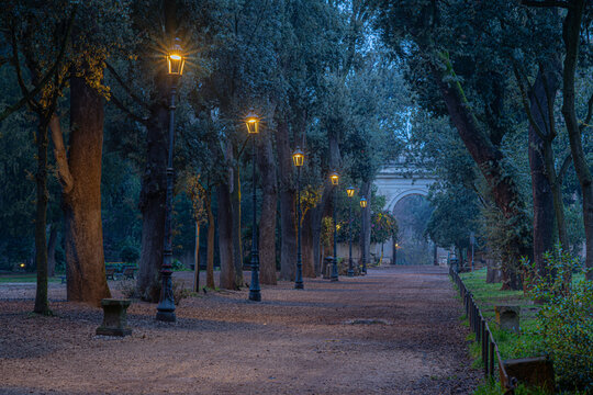Fila di lampioni accesi nel parco all'alba