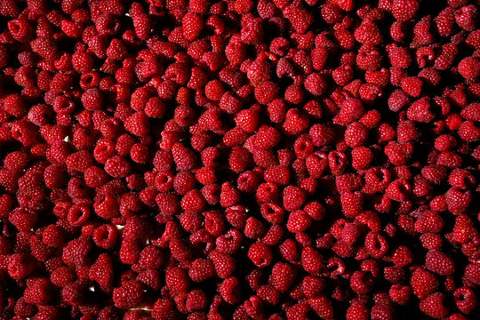 Full frame fresh raspberries background pattern