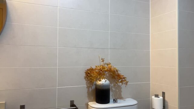 Panor&aacute;mica del ba&ntilde;o mostrando a mujer masajeando su rostro frente al espejo