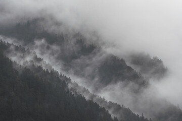Foggy Alps In Tyrol