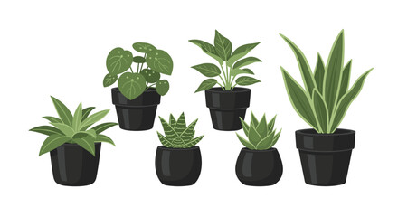 Obraz premium Seven distinct potted houseplants with diverse green foliage are casually arranged on a white background.