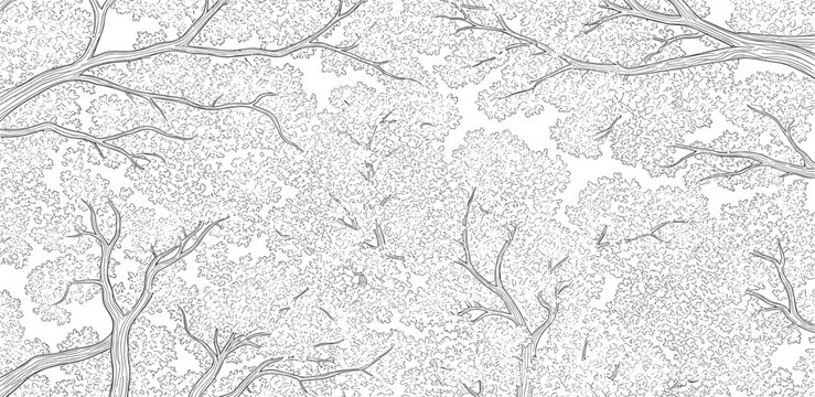 Aerial view of intricate river network with branching tributaries in a landscape