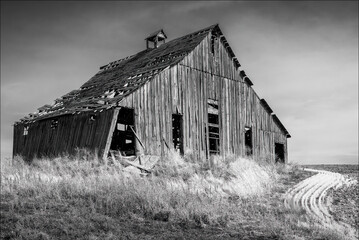 Old Barn with Tall Grass