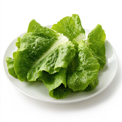 Fresh green lettuce head isolated on a white background, healthy organic leaf vegetable for salad and diet