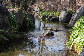 長居植物園