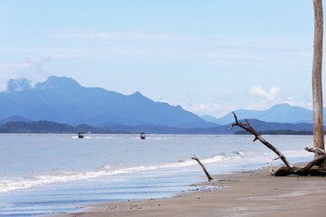 Beautiful landscape composed of two small boats at sea with a dry tree with a perfectly straight trunk on the beach. The tree is in the right corner of the image, and mountains make up the background