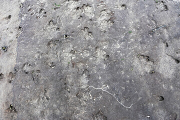 Close-up angle images of the surface of a dark store with small unevenness and small polluted cavities