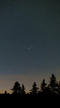 Comet Lemmon flying above a silhouetted forest at night