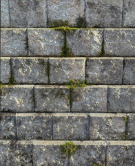 Weathered Brick Wall with Moss Growth Texture