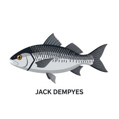 Illustration of Jack Dempsey Fish.