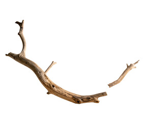 Fototapeta premium Gnarled weathered wood branch on black background