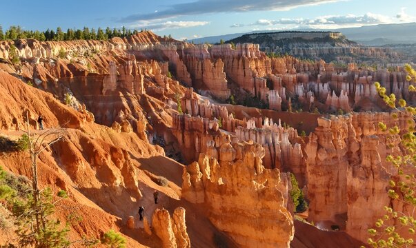 Orange hoodoos at sunrise in the amphitheater of Bryce Canyon National Park in Utah.