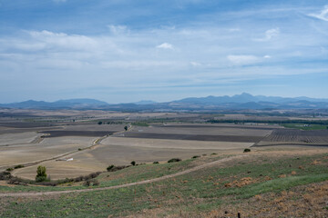 Obraz premium Panoramic Fields Around Carissa Aurelia
