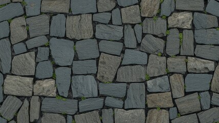 Fototapeta premium Gray stone pavement with small green plants growing through cracks