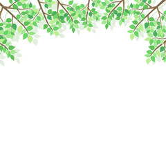 Obraz premium 新緑の葉のフレーム2_正方形