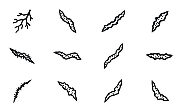 Creepy worms of various shapes and sizes crawling isolated vector line art illustration set