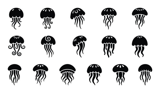 Jellyfish medusa ocean marine animal aquatic sea wildlife underwater vector silhouette icon illustration