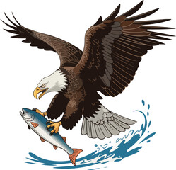 Obraz premium american bald eagle