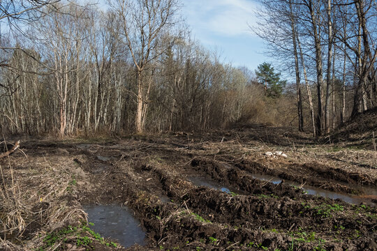 Deep muddy tire ruts filled with water on a forest road in April. Spring thaw in a deciduous forest in Estonia under a blue sky with bare trees and first green grass.