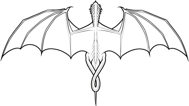 A black and white line art illustration of a dragon from a top down view, wings outspread