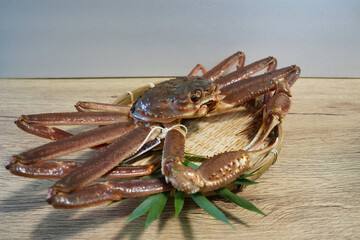 新鮮な兵庫県浜坂産タグ付き松葉ガニ