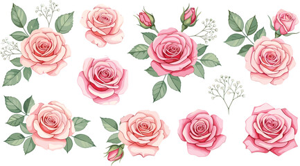 Collection of ten pink rose illustrations in varied bloom stages with green leaves and white floral accents, ideal for botanical and decorative design.