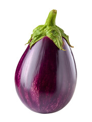 Fresh purple eggplant isolated on white background with green stem healthy vegetable