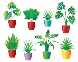Assorted potted houseplants with diverse leaf shapes and vibrant colors © bashanti