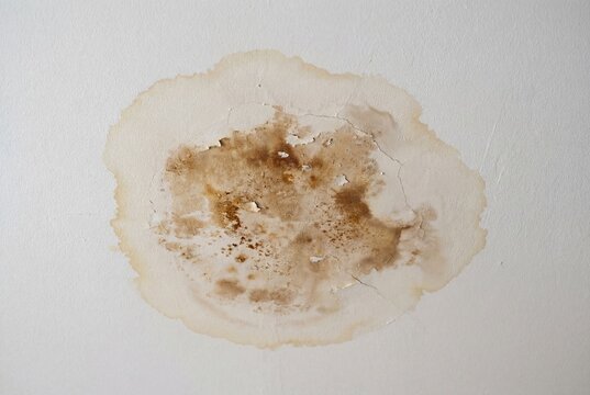Large brown water stain on white ceiling with peeling paint