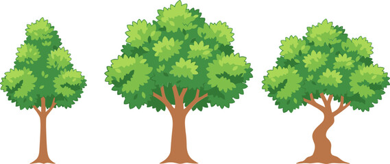 Horizontal set of three deciduous tree icons with different canopy shapes in flat vector style, © Abdul