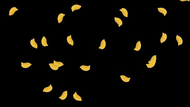 Spring Flowers Yellow Leaf Petals Falling Background Overlay Animation Video
