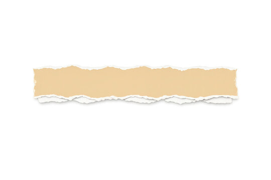 Torn Paper Strip: A section of torn paper revealing a textured interior, a blank canvas for design and messaging. Evokes a sense of vintage style and gentle texture. 
