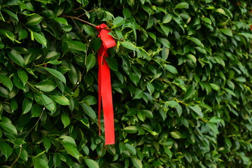 red ribbon on green leaf background