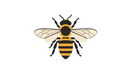 Stylized Honey Bee Illustration on White Background