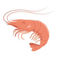 Cartoon Illustration of a Cooked Shrimp