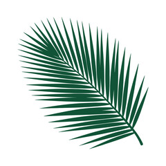 Obraz premium Single dark green palm frond curves gently, presenting a tropical botanical element for decoration.