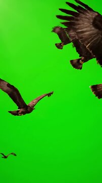 Green Screen animal background the group of bird are flying relax family blue use for animate in sky texture look far natural wild life concept scene 4 with distortion, overlay, glitch, static noise