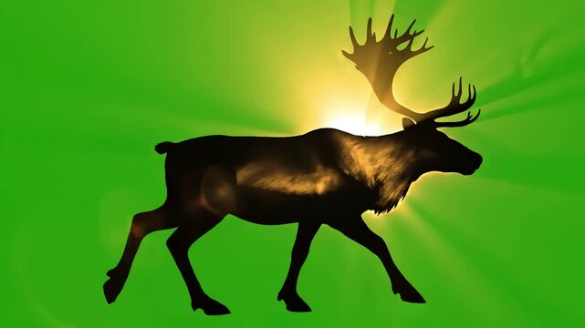 Green Screen reindeer walking forward on a silhouette of deer chroma key seamless isolated loop animation scene 4 with distortion, overlay, glitch, static noise, scan lines black background, 4k