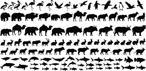 Collection of animal silhouettes including birds, mammals and aquatic species arranged in rows, black wildlife vector illustration design set © Roisul