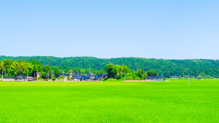 田園風景　夏　日本 © Mugi