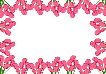 Spring Tulip Full Frame Floral Border Background